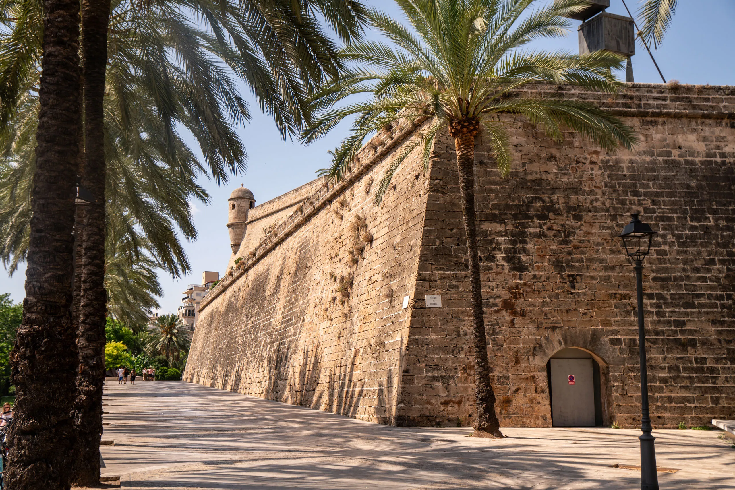 Die Mauer der Renaissance-Bastion Sant Pere in Palma aus hellem Sandstein, davor hohe Palmen und ein Weg.
