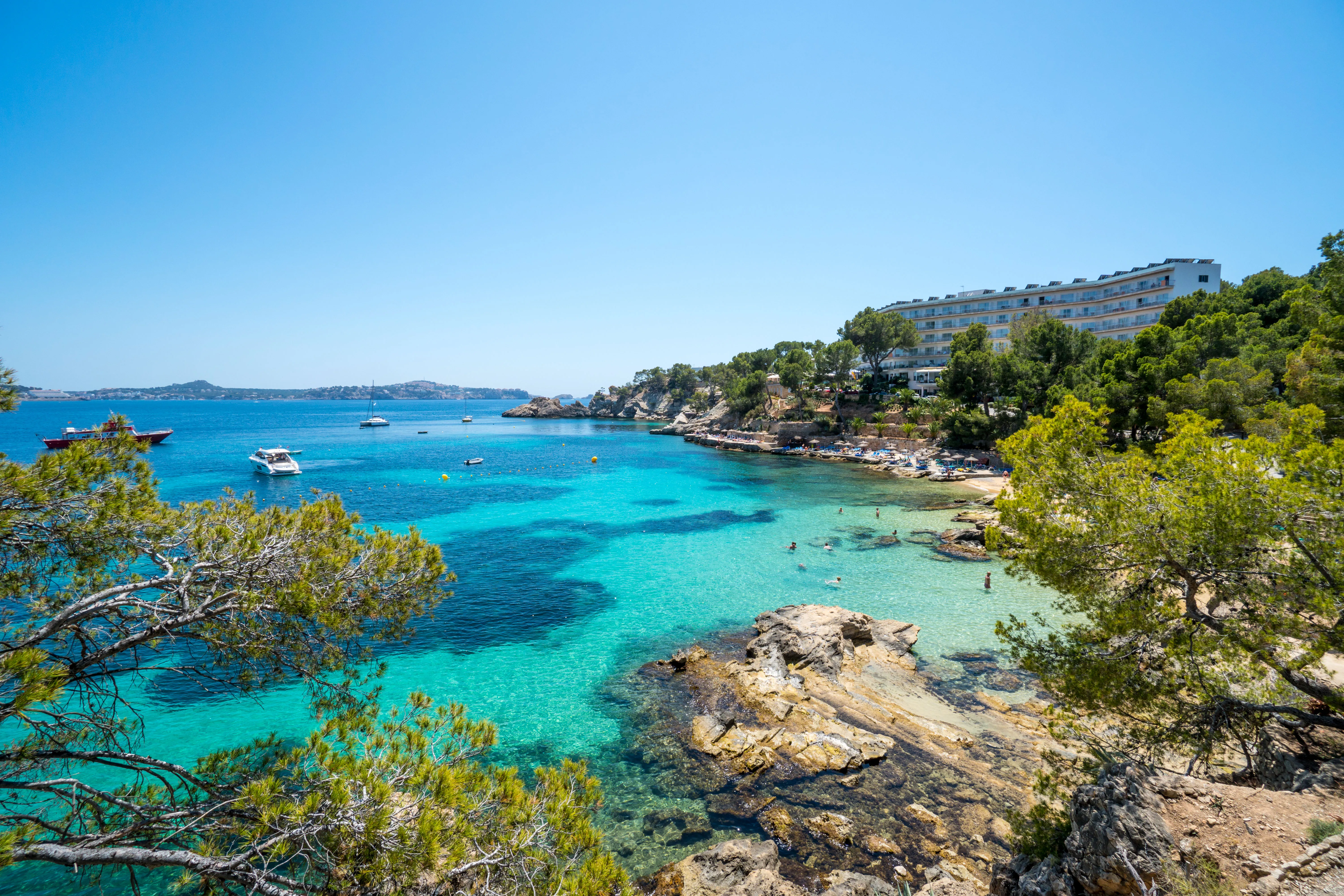 Blick von oben auf die Bucht Cala Fornells mit türkis leuchtendem, klarem Wasser über hellem Grund, felsigen Ufern mit Kiefern und den Gebäuden am gegenüberliegenden Hang.
