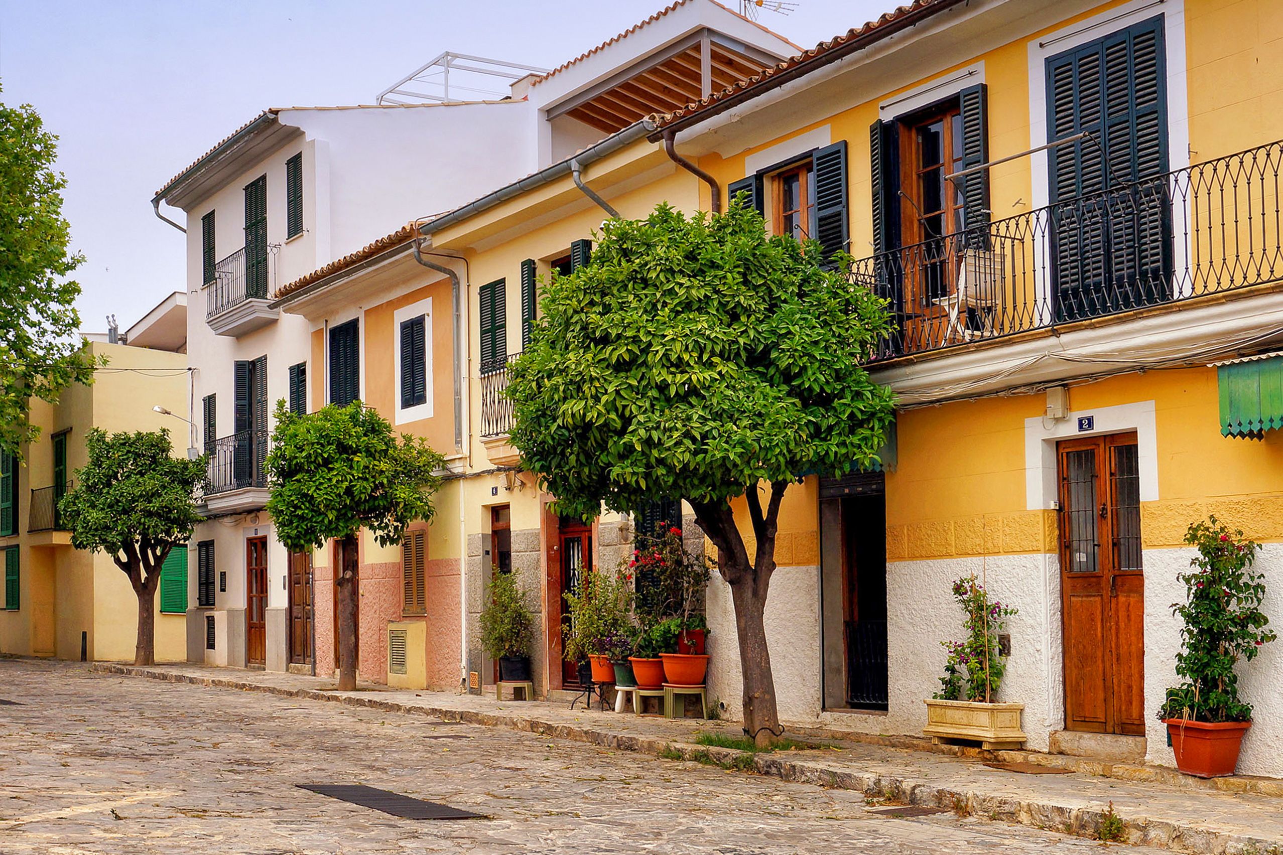 Ruhige Straße in Santa Catalina mit zweigeschossigen gelben und weißen Reihenhäusern, davor eine Reihe kleiner Orangenbäume und Topfpflanzen an den Türen.
