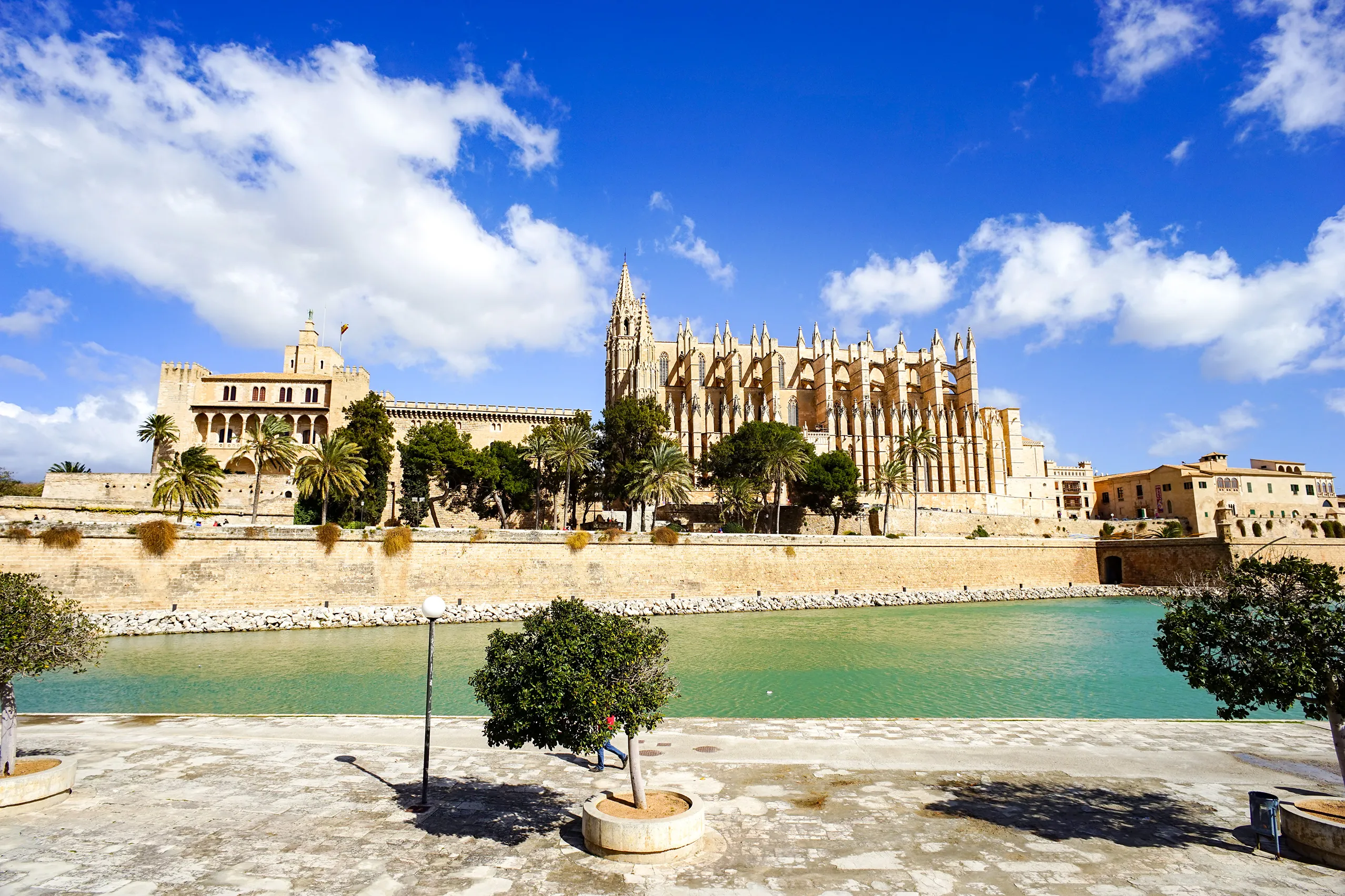 Die Kathedrale La Seu in Palma vom Parc de la Mar aus gesehen: der gotische Bau aus hellem Sandstein über der Stadtmauer, links der Palau de l'Almudaina, davor das flache Wasserbecken mit Palmen.