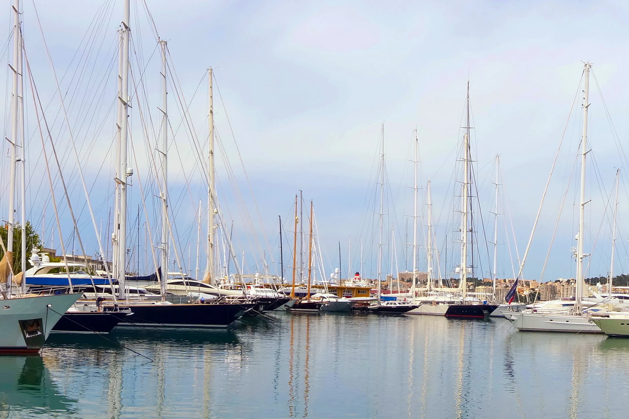 Yachtbecken im Hafen von Palma mit dicht liegenden Segelyachten, hohen Masten und ruhigem Wasser.
