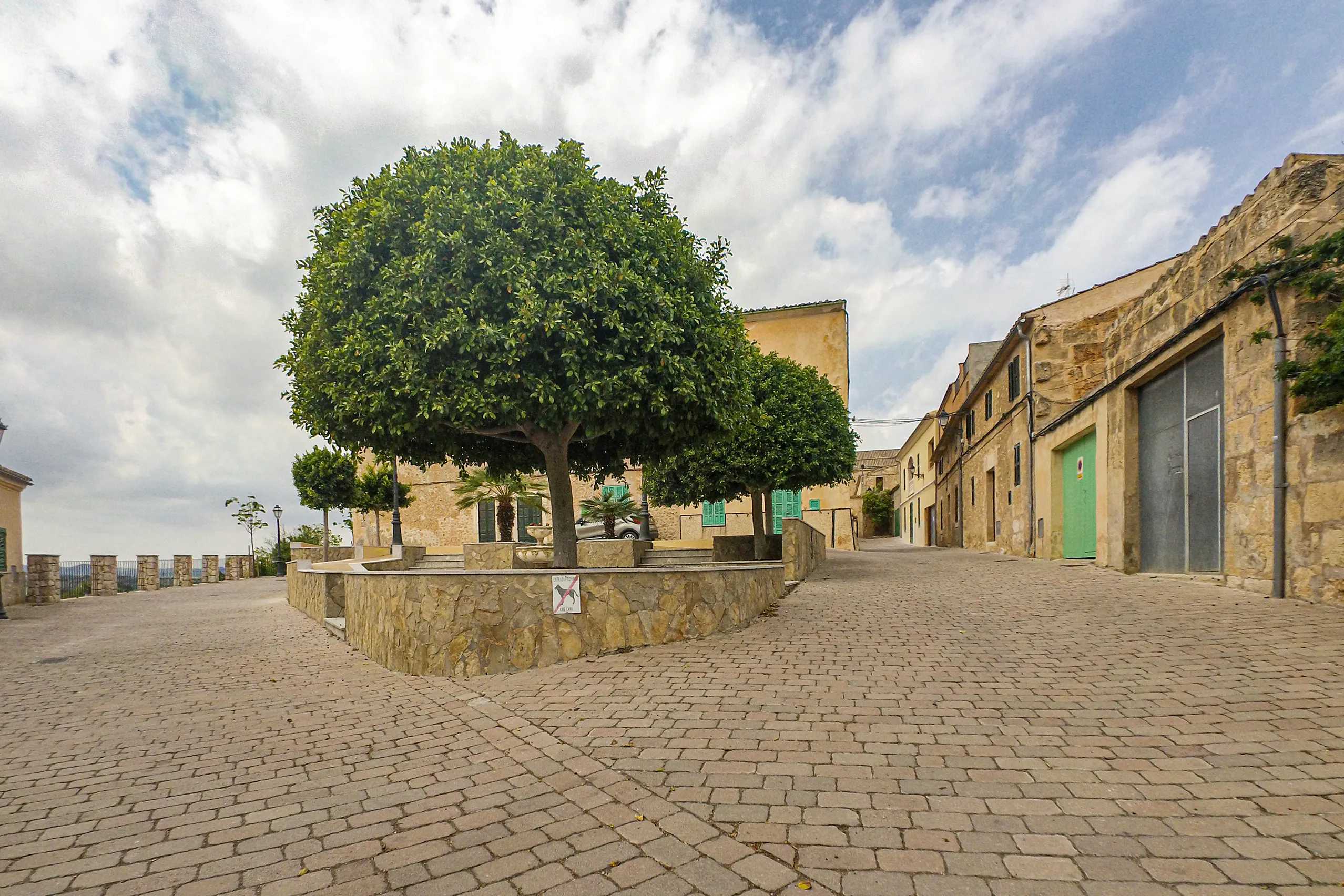 Gepflasterter Dorfplatz in Ariany mit einem großen runden Baum in einem gemauerten Beet, umgeben von Natursteinhäusern.
