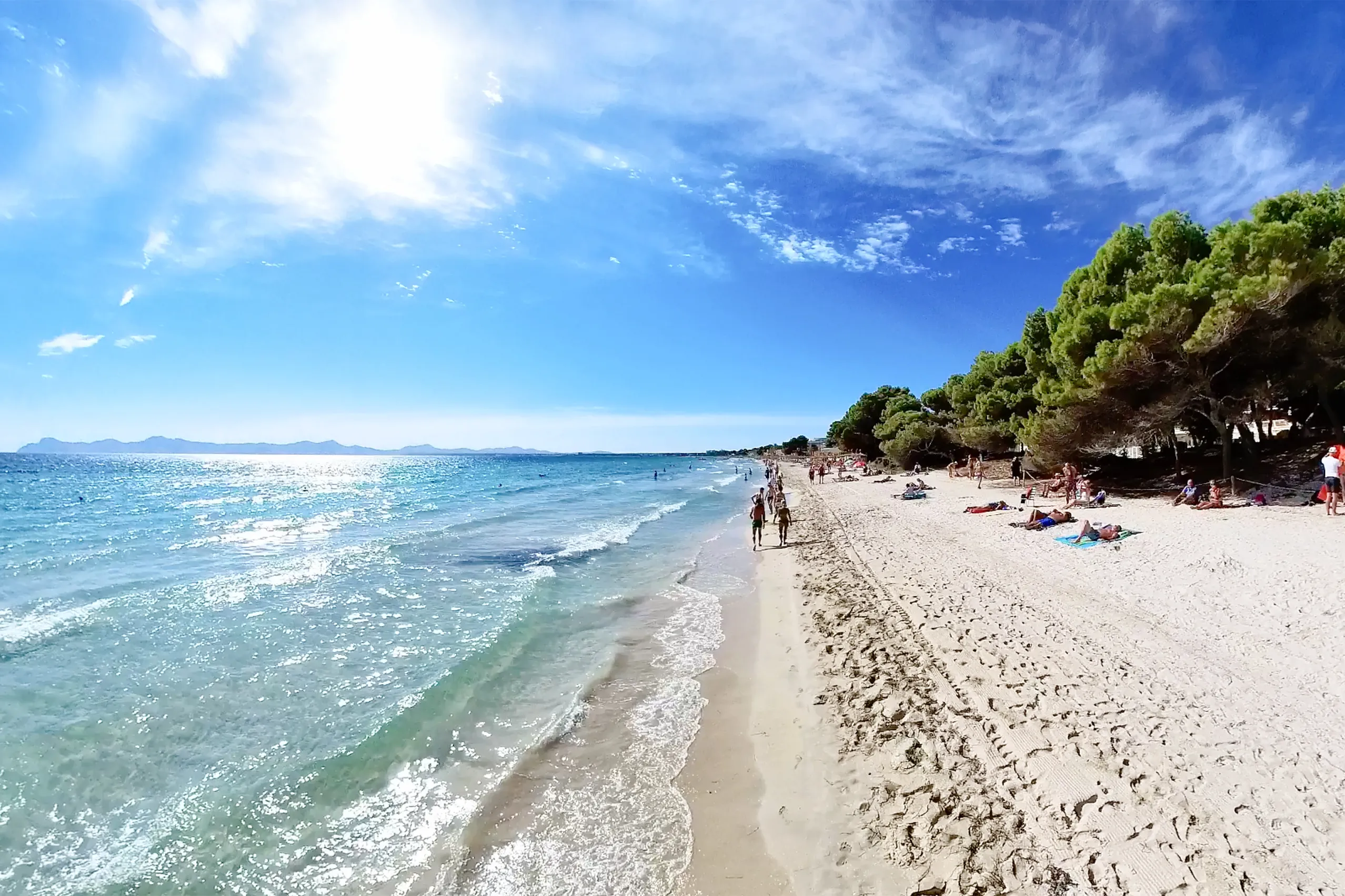 Heller Sandstrand mit türkisfarbenem Meer, Spaziergängern an der Wasserlinie und Kiefern am Ufer von Port d'Alcúdia unter blauem Himmel.
