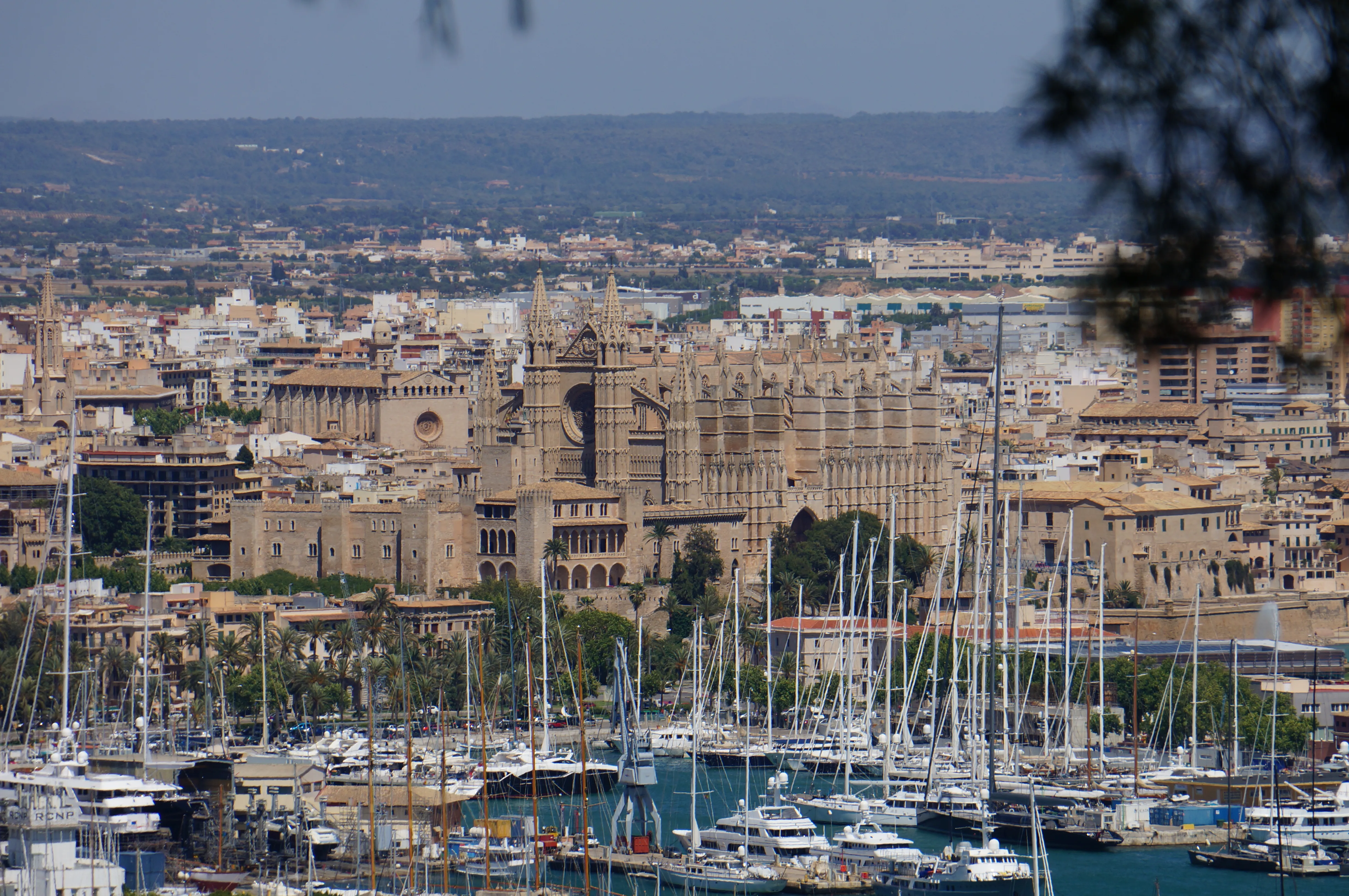 Blick über den Yachthafen von Palma auf die Altstadt mit der Kathedrale La Seu, dahinter die Stadt und das Umland bis zum Horizont.

