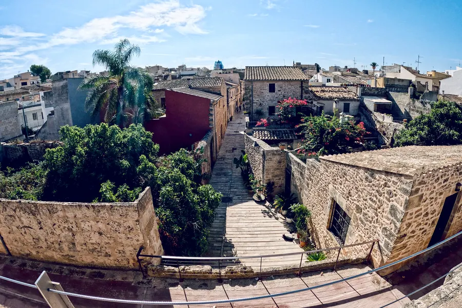 Blick von der Stadtmauer Alcúdias über Gärten, Palmen und die dicht stehenden Häuser der Altstadt, dahinter der Turm der Pfarrkirche.