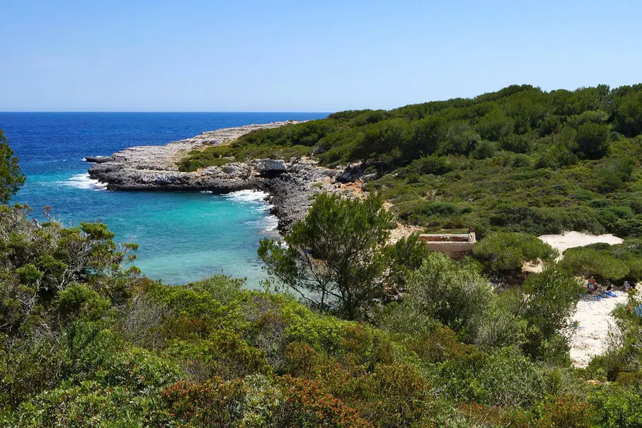 Blick von oben über die bewachsene Landzunge auf die Cala Brafi mit türkisfarbenem Wasser und der offenen See dahinter.