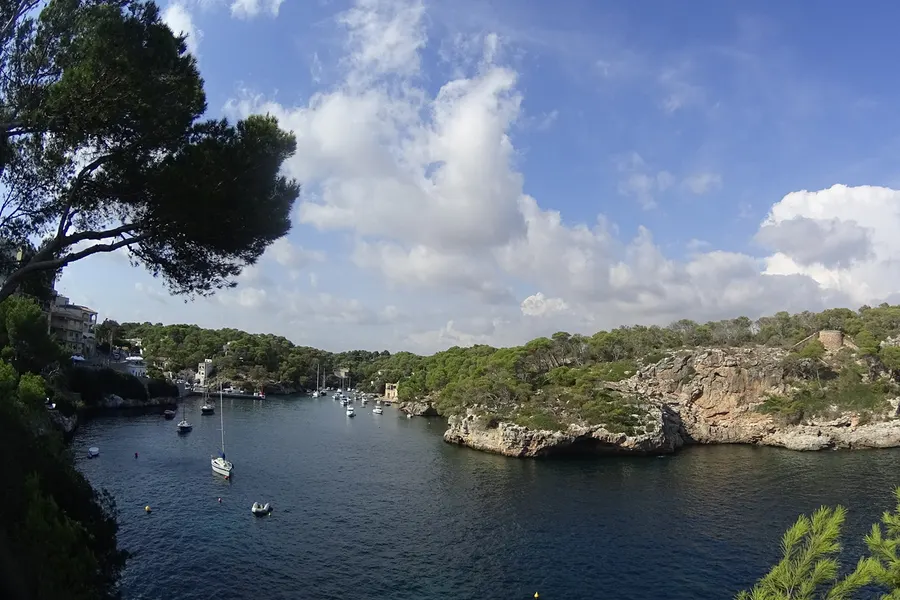 Blick vom Ende des Meeresarms von Cala Figuera Richtung Mündung, mit ankernden Segelbooten, bewaldeten Ufern und der offenen See dahinter.
