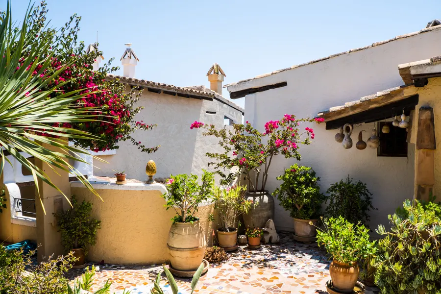 Sonnige Terrasse in Cala Fornells mit vielen Kübelpflanzen, blühender Bougainvillea und einem weiß getünchten Haus mit Ziegeldach.

