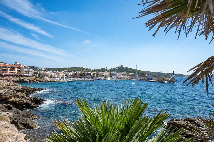 Blick über die felsige Küste von Cala Ratjada auf den Ort und die Hafenmole, im Vordergrund Palmwedel und Agaven.
