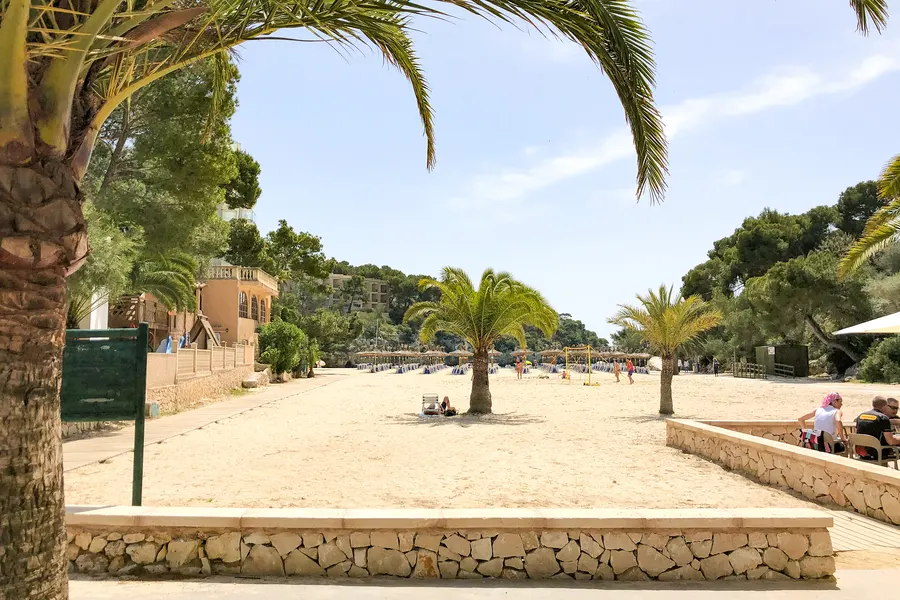 Weite unbefestigte Parkfläche mit Palmen am Zugang zur Cala Santanyí, dahinter Bäume und die Gebäude des Orts.