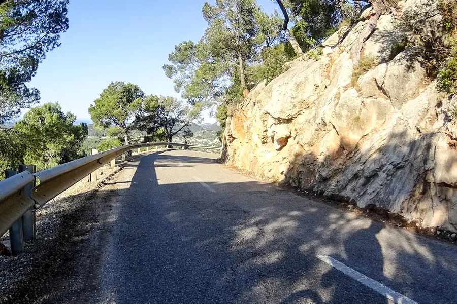 Kurvige Bergstraße nach Galilea zwischen Felswand und Leitplanke, darüber Kiefern, im Hintergrund das Meer.
