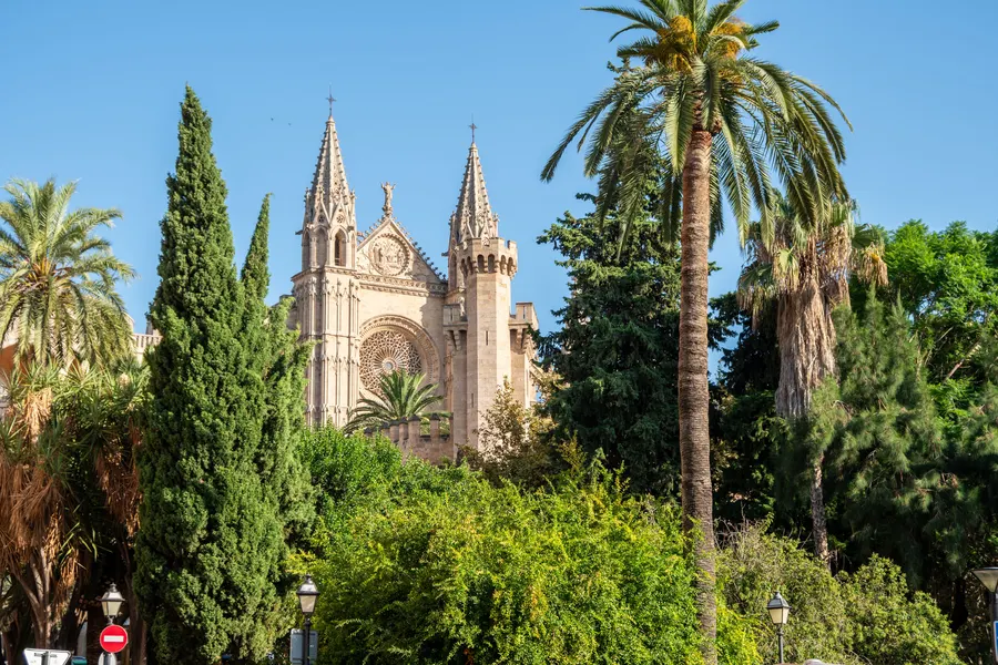 Die Türme der Kathedrale von Palma ragen über Zypressen und Palmen eines Gartens auf.
