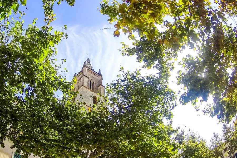 Hauptstraße von Llubí mit Bäumen am Rand, parkenden Autos und dem Kirchturm über den Dächern.