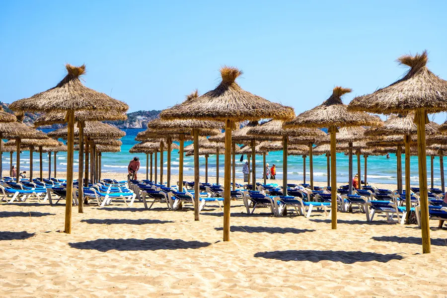 Ausgerichtete Reihen von Sonnenschirmen aus Palmstroh und blauen Liegen am Sandstrand von Peguera, dahinter das Meer.