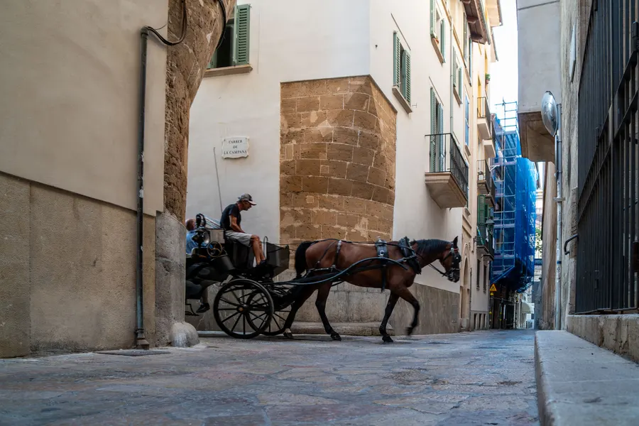 Eine Pferdekutsche wartet in einer schmalen Gasse der Altstadt von Palma zwischen hohen Häuserwänden.

