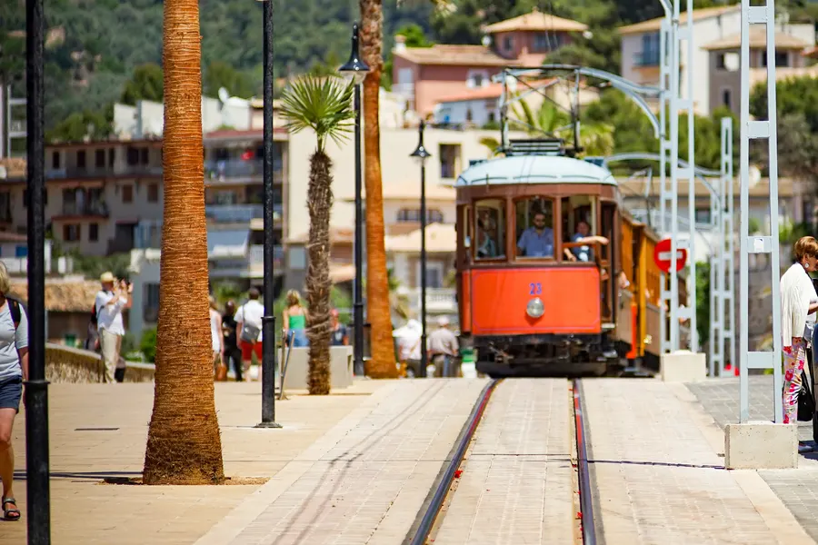 Die Straßenbahn von Sóller auf ihrem Gleis zwischen hohen Palmen an der Promenade, dahinter Häuser am Hang.
