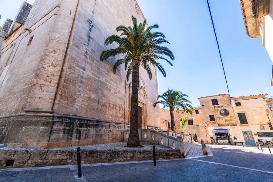 Platz in Santanyí mit hoher Palme, umgeben von Sandsteinhäusern und der Seitenwand der Kirche, im Hintergrund Geschäfte.