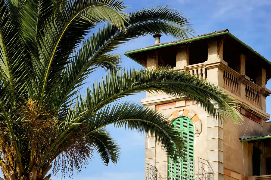 Palmwedel vor einem Herrenhaus in Sóller mit heller Fassade, grünen Fensterläden und Gesimsen.